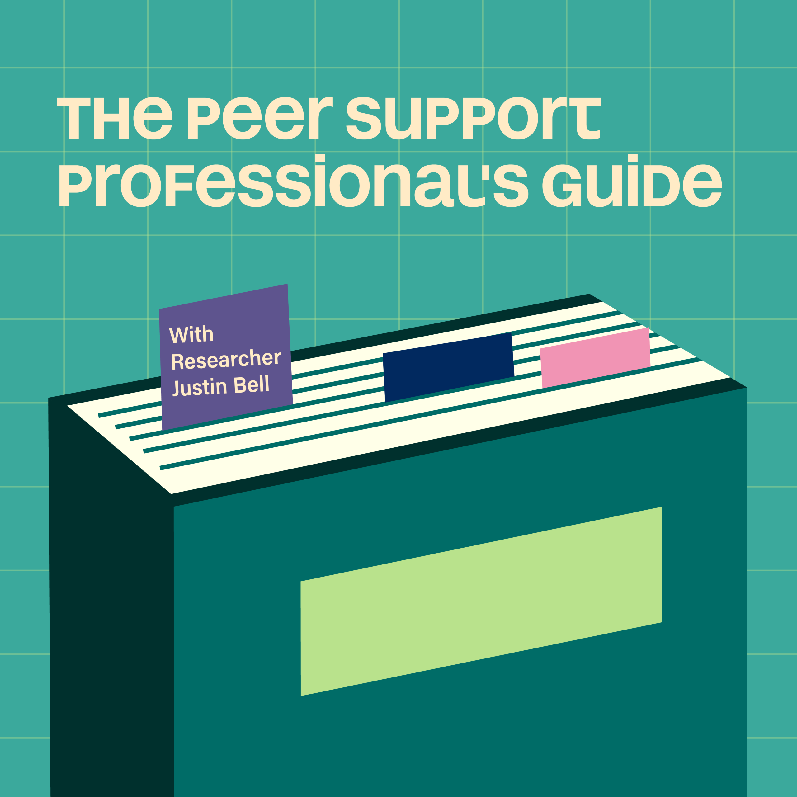 The Peer Professional's Guide (PPG) with researcher Justin Bell